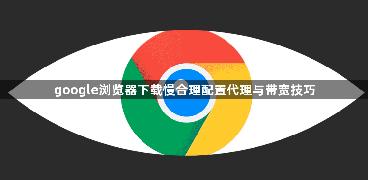 google浏览器下载慢合理配置代理与带宽技巧1