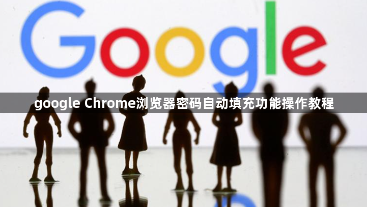 google Chrome浏览器密码自动填充功能操作教程1