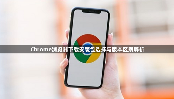 Chrome浏览器下载安装包选择与版本区别解析1