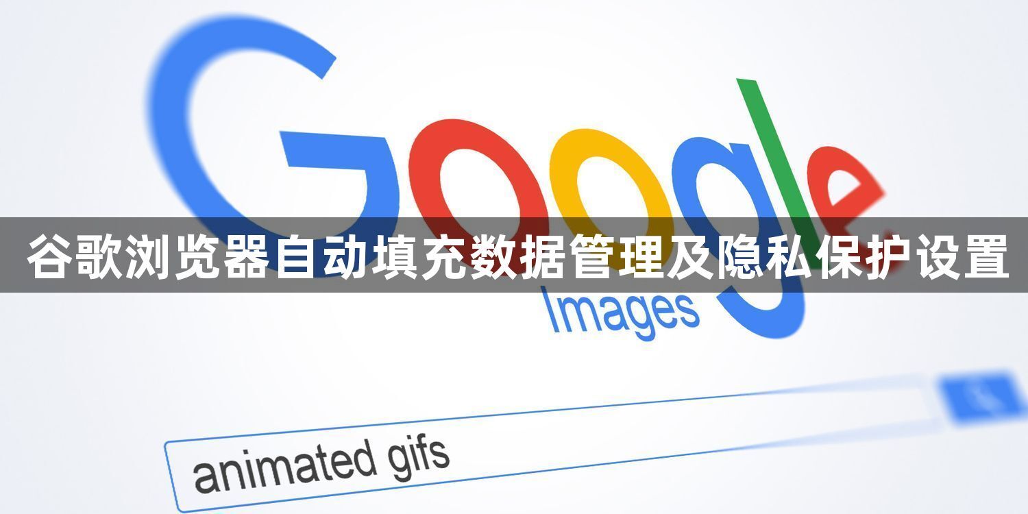 谷歌浏览器自动填充数据管理及隐私保护设置1