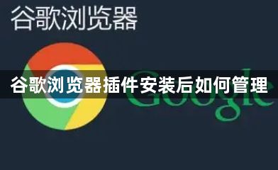 谷歌浏览器插件安装后如何管理1