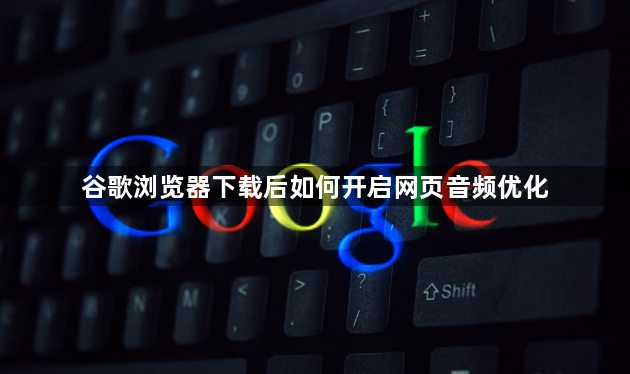 谷歌浏览器下载后如何开启网页音频优化1