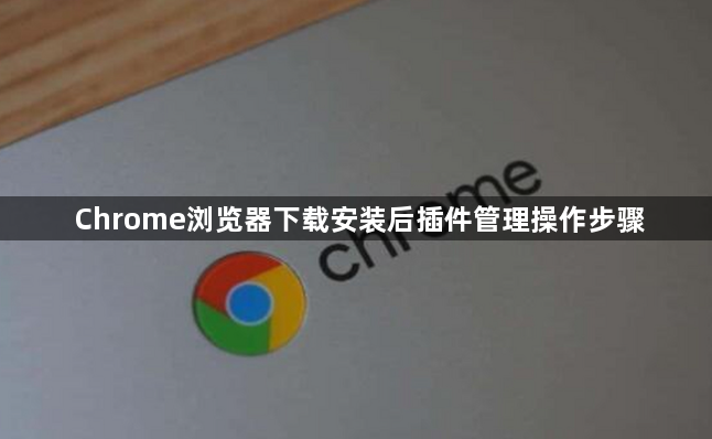 Chrome浏览器下载安装后插件管理操作步骤1