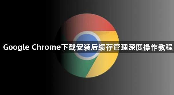 Google Chrome下载安装后缓存管理深度操作教程1