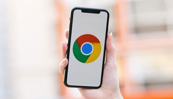 Google浏览器缓存优化插件测评体验